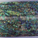 Gemstone Abalone Seashell Table Top