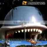 MY Dino-M10 Hot Sell Playground Equipment Whale thumbnail-2