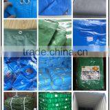 PE Tarpaulin Plastic Canvas Sheet For Wood Cover, Lumber Wrap Polyethylene Tarpaulin Price thumbnail-2