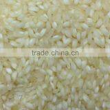 Idli Rice thumbnail-3
