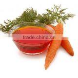 Carrot Seed Oil thumbnail-1