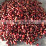 Round Chilli thumbnail-2