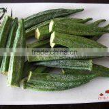 VF Okra Chips (Vegetable Snack) thumbnail-1