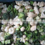 IQF Mix Vegetables(broccli+cauliflower+steakm) thumbnail-1