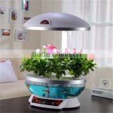 Wall Hanging Fish Tank thumbnail-6