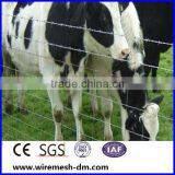 Sale Cattle/Horse Fence and Hinge Joint Knot Field Fence Mesh for Animals & Hinge Joint Field Fencing (Manufacturer) thumbnail-3