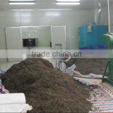 Cut Dried Kelp,edible Seaweed,kelp Materials,sea Kale,food Culture in China thumbnail-5