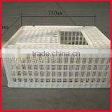 Chicken Coop for Poultry Farm thumbnail-3