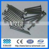 Black Steel Concrete Nails thumbnail-1
