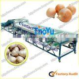 THOYU Brand Stainless Steel Apple ,Orange,Pomegranate,Onion,Lemon,Garlic Grader and Sorter Machine by Diameter(0086 15903677328) thumbnail-1