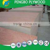 WBP Glue Furniture Grade Plywood/Bintangor Commercial Pywood/Film Faced Plywood thumbnail-5