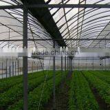 High Quality uv Resistant Greenhouse Plastic Film for Fruits Vegetables Flowers thumbnail-1