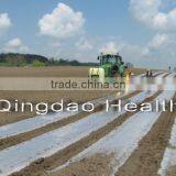 Agriculture Mulch Films ,perforated Clear Mulch Film (with 2 or 4 Holes) thumbnail-4