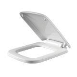 New Toilet, Plastic Slow Sown Thickening,pp General Purpose thumbnail-1