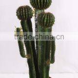 SJ3001106 Plastic Cactus Indoor Outdoor Potted Plant Tree thumbnail-2