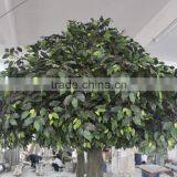 Hot Sale Artificial Ficus Tree in Factory Price thumbnail-3