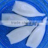 Frozen Squid Tube U5 U7 U10 IQF thumbnail-3