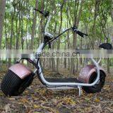2017 Zhejiang Factory Latest Steel Quality Citycoco Electric Ebike Fat Economic Model thumbnail-4