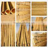 High-quality Wholesale Tonkin Bamboo Poles for Plant thumbnail-1