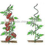 Galvanized Growing Spirals thumbnail-1