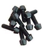 Black Anodized Titanium Bolt