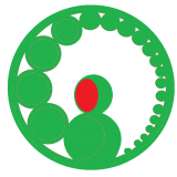 Dongguan sanrong (heat transfer) garment accessories co., LTD