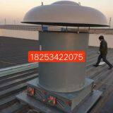 Roof Blower thumbnail-2