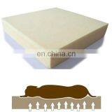 Plush Orthopedic Foam Dog Bed Memort Foam Pet Bed With Machine Washable Removable Cover thumbnail-5