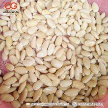 Industrial Wet Peanut Peeling Machine Automatic Peanut Peeler Almond Skin Removing Machine