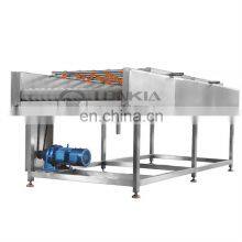 Brush Washing Machine Automatic Fruit Vegetable Washing Machine Brush Principle Washing Machine thumbnail-5