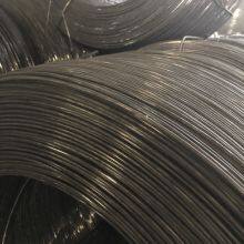 5B877917-BD41-445C-9496-8148F124BC93