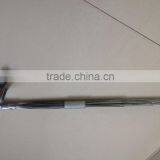 Bird Thorn thumbnail-3