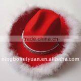 Cowboy Hat With Feather