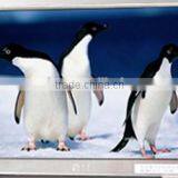 Price 5 Inch Lcd Monitor for Car Monitor thumbnail-3