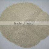 Ferrous Sulfate Monohydrate & Heptahydrate