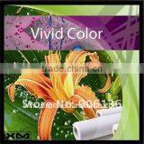 410gsm Matte Cotton and Poly Mixed Canvas Roll