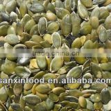 Chinese Factory Pumpkin Seeds GWS Grade A