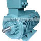 YE3 Super Efficient Motor 250 kw thumbnail-1