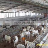 Prefabricated Steel Structure Warehouse With ISO9001 Certify thumbnail-5