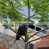 Non-flocked/ Flocked Black Crow Decoy for Hunting thumbnail-4