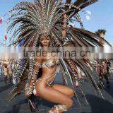 ZPDECOR Wholesale Top Selling Raw 45-50cm Size Reeves Venery Pheasant Tail Feathers for Decorations thumbnail-6