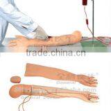 Plastic Medical Model thumbnail-1