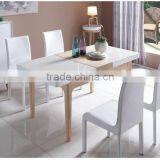 Modern Dining room table