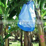 Banana Growing Plastic Bag thumbnail-6