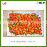 Fresh Strawberry for Sale From Jiangsu Province China thumbnail-3