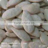 China High Quality Snow White Wholesale Pumpkin Seeds