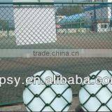 Galvanized Chain Link Fencing/best Quality/manufacturer/chain Link Fence