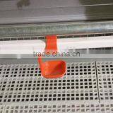 New Poultry Equipment Feeder and Drinker thumbnail-4