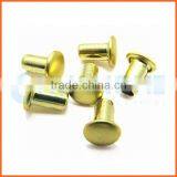 High Quality Ss304 Flat Head Hollow Rivet thumbnail-5