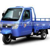 Three Wheel Motor Vehicle thumbnail-2